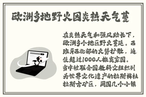 丁香五月在线综合