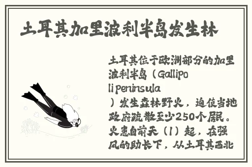 亚洲激情第一页